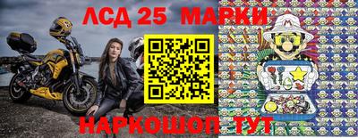 стаф Кингисепп