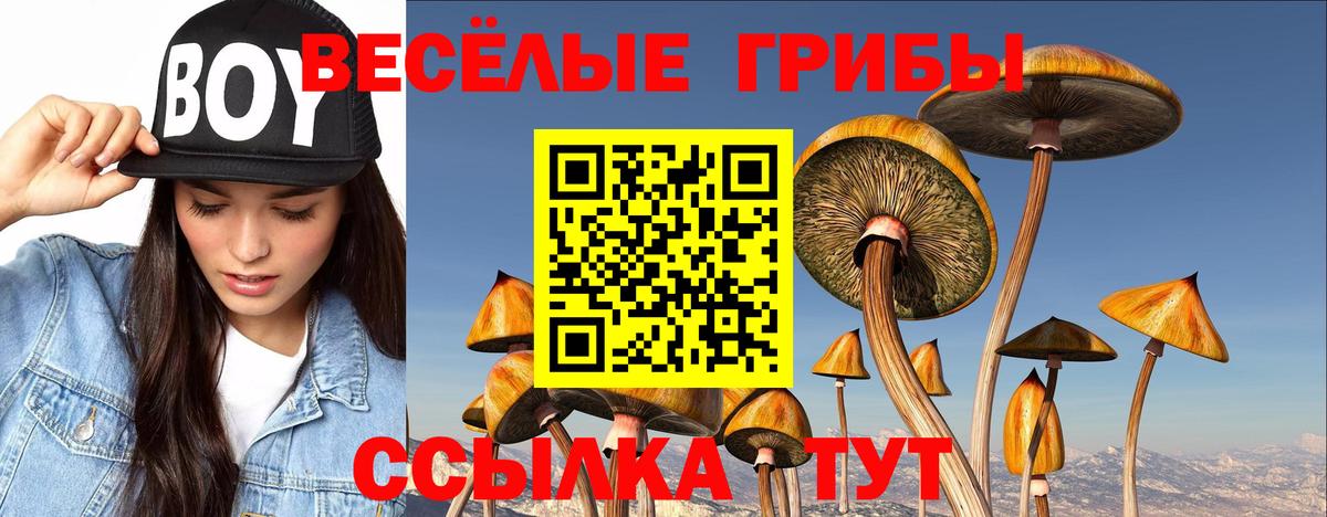 Галлюциногенные грибы ЛСД  Вход с VPN  Котельники 